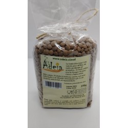 Lenticchia Rossa