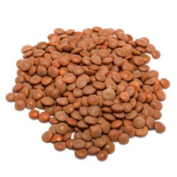 Lenticchia Rossa