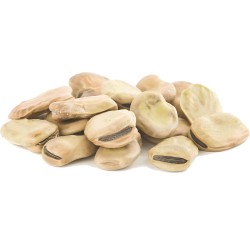 fava larga di leonforte